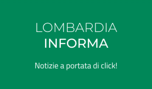 immagine della notizia